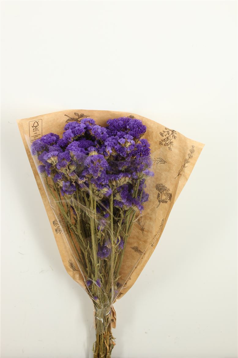 Statice blauw/donker paars