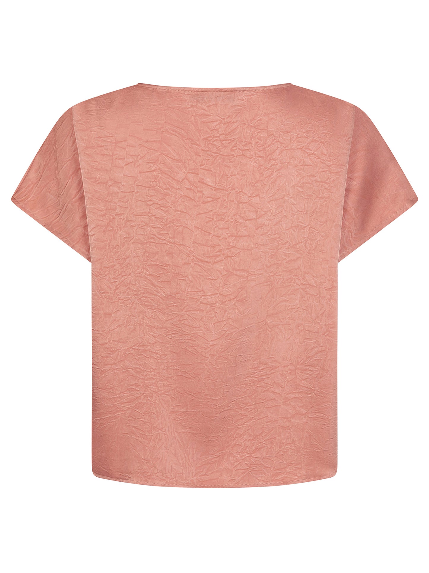 Ydence Top Kiek salmon