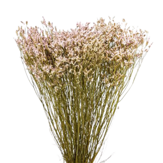 Droogbloemen Helichrysum licht roze