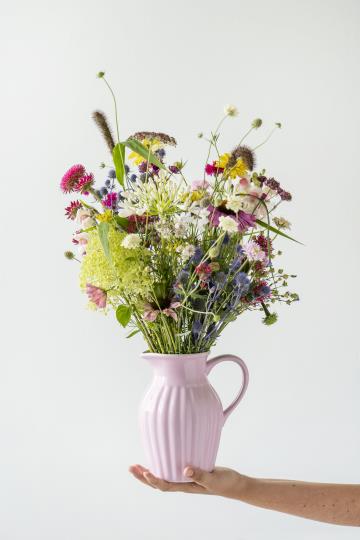 Ib Laursen Pitcher 1.7 ltr Mynte English Rose