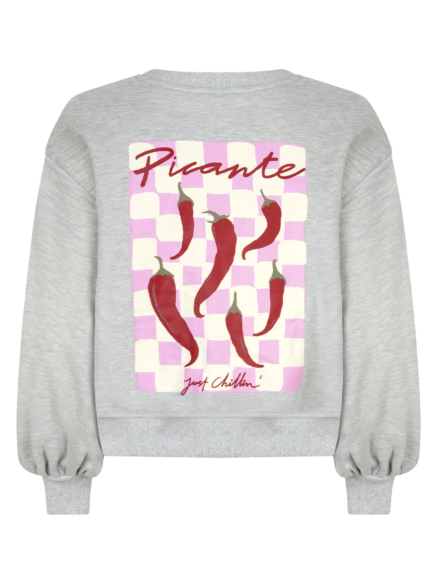 Ydence Sweater Just chillin Grey melange